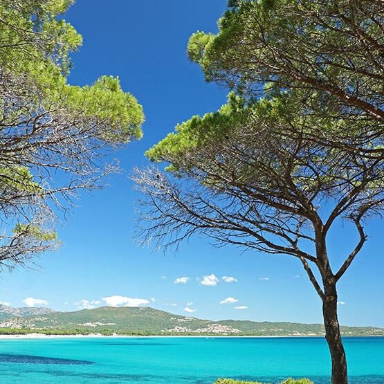 Scorcio di mare dalla pineta di Budoni (Sardegna)